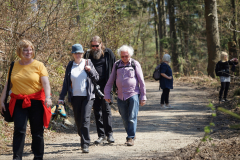 Goslar2019_05