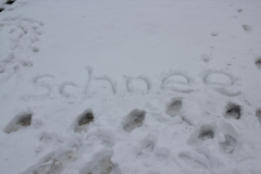 Schwerin_24