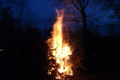 DSCF0149